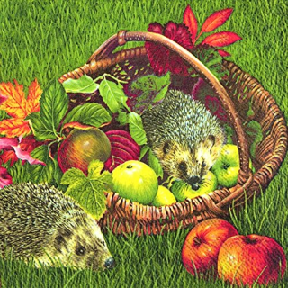 IHR | Servietten Hedgehogs in the Garden