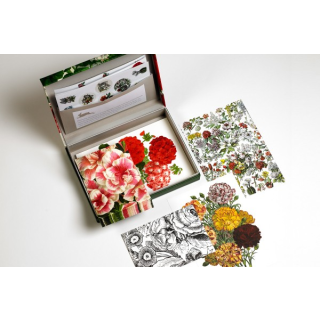 Pepin | Briefpapier-Set  Flower Prints